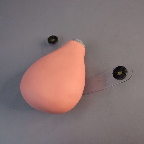 Nasco Simulaids Replacement Pregnant Uterus 160-1904 NEW Medical Training Device - Picture 1 of 4